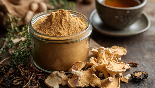 Best Mushroom Powder Tea Blends for Immune Support This Fall