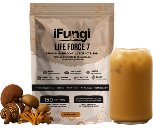 2025 in Mushrooms: Top Health Benefits of Mushroom Powder