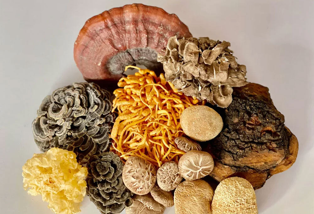 Immune System Support