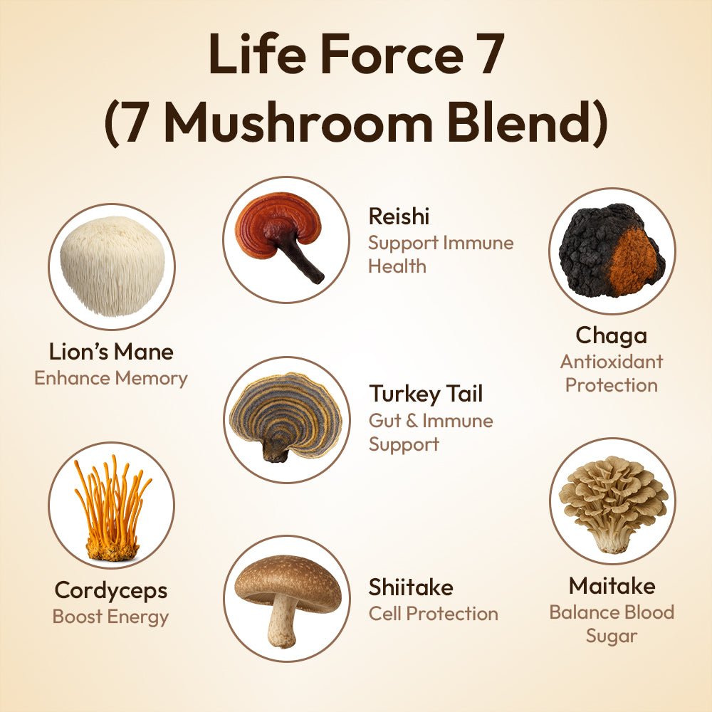 Life Force 7 - mushroom supplement powder extract blend 