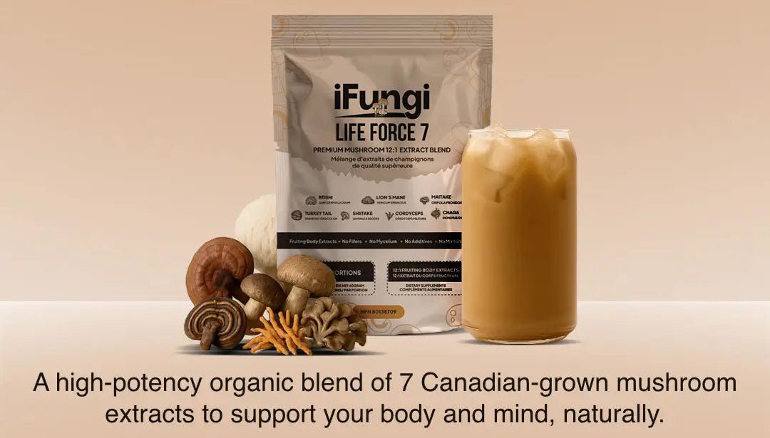 Life Force 7 - extract mushroom powder