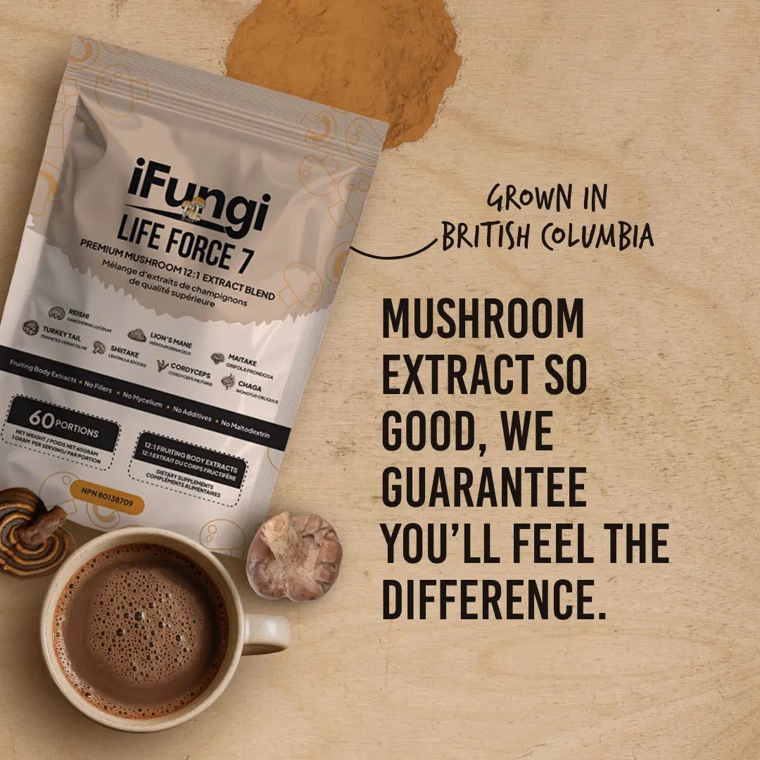 Life Force 7 - Mushroom Complex - Boost Focus & Clarity